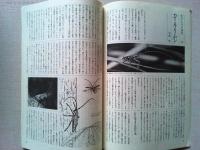 【雑誌】　　野鳥　1988年7月号　　特集　小笠原