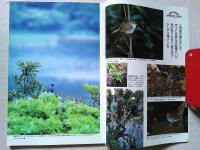 【雑誌】　　野鳥　1989年5月号　　特集　三宅島の鳥