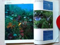 【雑誌】　　野鳥　1987年7月号　　特集　伊豆諸島の鳥