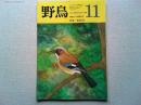 【雑誌】　　野鳥　1988年11月号　　特集　森林と鳥