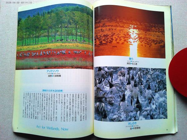 【古雑誌】収穫雑誌1996年6冊揃 古雑誌】収穫雑誌1996年6冊揃 古雑誌】収穫雑誌1996年6冊揃
