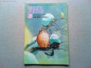 【雑誌】　　野鳥　1993年3月号　　特集　英国の二人の先人
