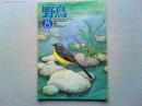 【雑誌】　　野鳥　1990年8月号　　特集　キセキレイ