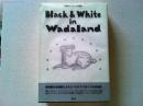 Black & White in Wadaland : 和田誠モノクローム作品集