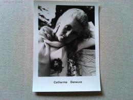 フランソワーズ・ドルレアック/カトリーヌ ・ドヌーヴ　スチール写真2枚
