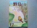 【雑誌】　　野鳥　1986年12月号　　特集　キツツキ