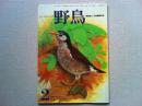 【雑誌】　　野鳥　1987年2月号　　特集　自然情報