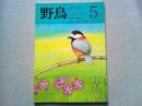 【雑誌】　　野鳥　1987年5月号　　特集　野鳥フォト便り