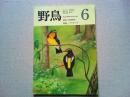 【雑誌】　　野鳥　1987年6月号　　特集　アマツバメ