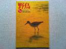 【雑誌】　野鳥　　　1992年9・10月号　　特集　湿地の自然
