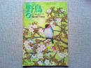 【雑誌】　野鳥　　　1993年4月号　　特集　春をつかまえる