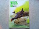 【雑誌】　野鳥　　　1992年3月号　　特集　オナガ