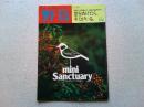 【雑誌】　野鳥　　　1984年11月号　50周年記念臨時増刊号
　　　　　　窓をあけたら、キミがいる。