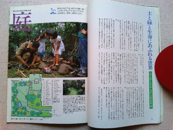 雑誌】 野鳥 1984年11月号 50周年記念臨時増刊号 窓をあけたら、キミが