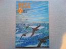 【雑誌】　野鳥　　　1989年7月号　　特集　もぐる