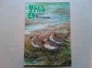 【雑誌】　野鳥　　　1989年4月号　　特集　身近にできる野鳥の調査