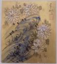 津田青楓　肉筆色紙　菊水図