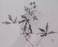 「小蘋画譜」／野口小蘋画譜／野口親筆／大正6〜8年／西東書房発行／全8冊／蘭他四君子、花卉、果樹、花鳥、風景、岩、山など
