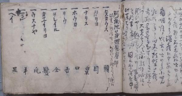 秘薬之伝書 紀州華岡青洲家秘伝法 阿蘭陀語 口身体髪膚 群薬種 諸病瘡 油能毒并取様 青黄赤白黒煉の事など 古本 中古本 古書籍の通販は 日本の古本屋 日本の古本屋