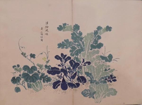 竹洞花鳥画譜 全20図(中林竹洞) / 古本、中古本、古書籍の通販は