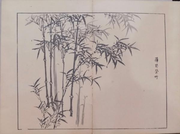 竹洞四君子畫譜 上（蘭竹13図）(中林竹洞画) / 古本、中古本、古書籍の