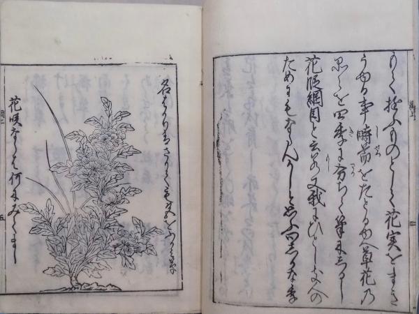 Amazon.co.jp: 「花壇綱目 巻上中」／内題：花段綱目／水野元勝