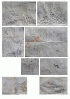 絵画資料／桑名／尾張／ヤマト絵／「帆山花乃舎・山本家大和絵絵画資料」／習画、下絵、摸写など／花乃舎、雲游、鶴僊他／約180点