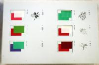 譜説かさねの色目配彩考 : 色譜 平安の美裳