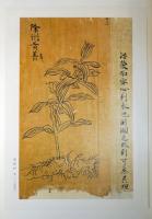 集錦帖　天理図書館善本叢書口絵集
