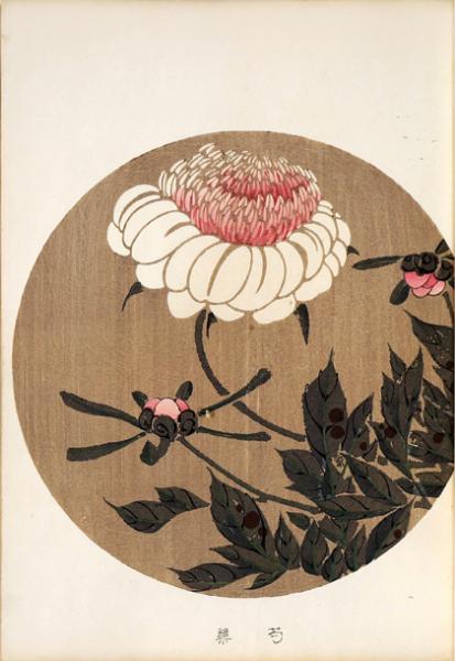 若冲画譜（オマケ付き） 若冲画譜 (近代図案コレクション) | 伊藤 若冲