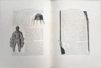 Les Anciennes Armees Francaises: Exposition rétrospective militaire du ministère de la guerre en 1889.