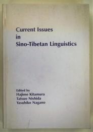 Current issues in Sino-Tibetan linguistics