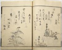 宮城野