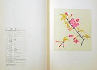 桜　SAKURA　Flowering Cherries of Japan