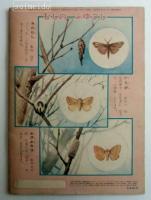 ２年ぎんのすず　昭和３０年１２月号　第１０巻１２号