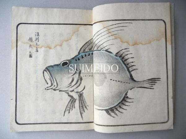 鏡魚集 柏声舎流芝 水明洞 古本 中古本 古書籍の通販は 日本の古本屋 日本の古本屋