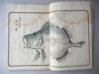 鏡魚集