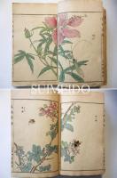 蟲類画譜