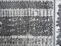 三都大芝居濱芝居子供芝居惣役者大見立　給金附並家号俳名改名細吟記　（番付）