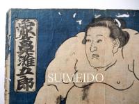 相撲錦絵　象ヶ鼻灘五郎