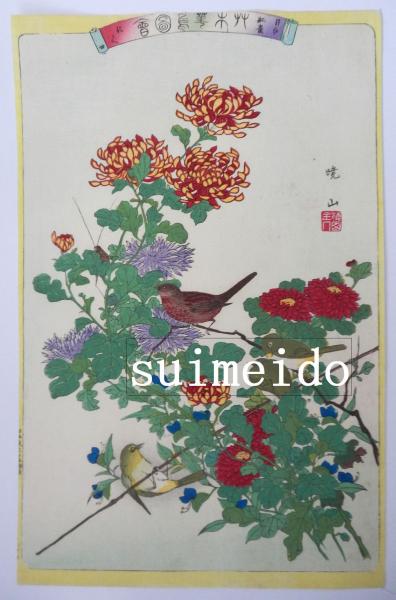 草木華鳥圖會 目白 紅雀 きく 暁山 水明洞 古本 中古本 古書籍の通販は 日本の古本屋 日本の古本屋