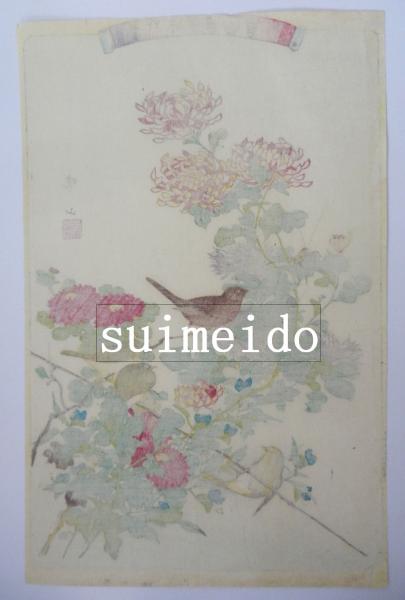 草木華鳥圖會 目白 紅雀 きく 暁山 水明洞 古本 中古本 古書籍の通販は 日本の古本屋 日本の古本屋