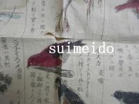 鳥類一覧表　（仮題）