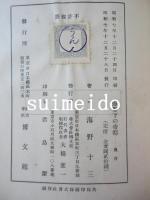 防空小説　爆撃下の帝都