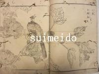寫眞花鳥圖會　上中下巻　全3巻