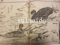 寫眞花鳥圖會　上中下巻　全3巻