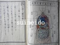 生徒必携　小學人體問答　全