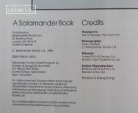 The Collector's Encyclopedia of MetalToys