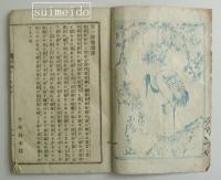 実説双紙　天一坊物語