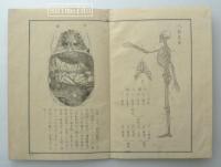 小學生理書　図共全４冊